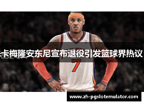 卡梅隆安东尼宣布退役引发篮球界热议